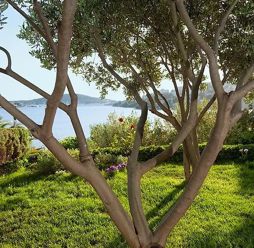 Villa Rogoznica Daire